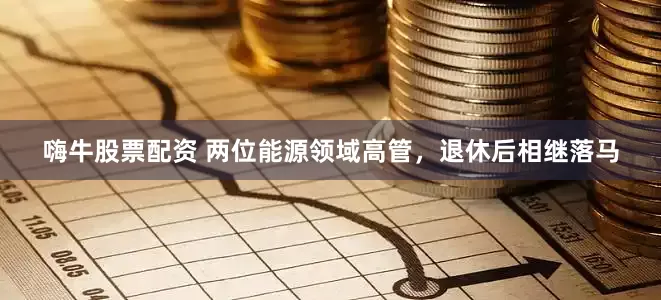 嗨牛股票配资 两位能源领域高管，退休后相继落马