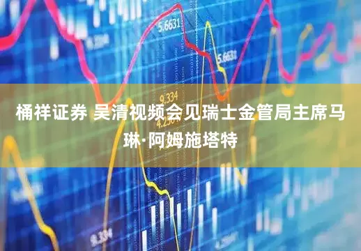 桶祥证券 吴清视频会见瑞士金管局主席马琳·阿姆施塔特