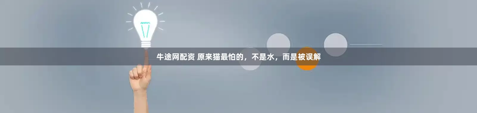 牛途网配资 原来猫最怕的，不是水，而是被误解